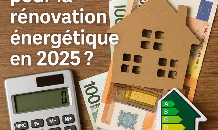 Quelles aides pour la rénovation énergétique en 2025 ?